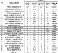 共计4000多万元！武汉将对3000多个新能源汽车充电桩进行补贴