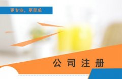 上海市奉贤区武汉调查公司武汉公司工商注册代办费用多少